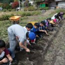 서울본동초등학교 이미지