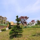 안식농장 이미지