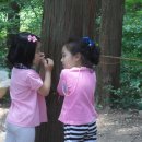 키즈랜드어린이집 이미지