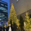 삼성늘푸른약국 | 잇몸 통증 약국 약 및 치료했던 관리 후기 (치약, 가글)