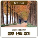 왕릉로 | 공주 메타세콰이어길·황새바위성지·한옥마을 산책 후기