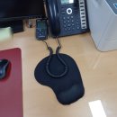 토성초등학교 이미지