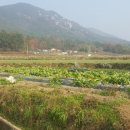 남해-260 이미지