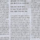 조각치킨