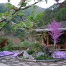 산골초가집 이미지