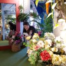 감천할머니 이미지