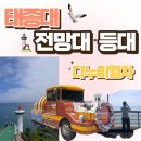 유라리광장 공중화장실 | 부산 영도 여행 태종대 다누비열차 주차부터 필수 코스 [전망대, 등대] 편도 이용 솔직후기