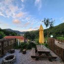 숲속 짱구네 이미지