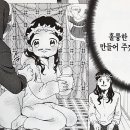 수정집 이미지