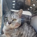 자양동물병원 이미지