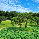 초시농장 이미지