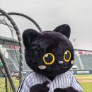 트윈스 | LG트윈스 런아카데미 홈런시리즈 끝까지 트윈스 후기