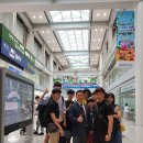 용인대그린체육관 이미지