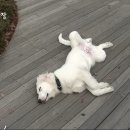 종일농장 이미지