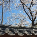 수로돼지국밥