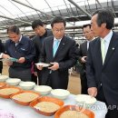 김갑수농장 이미지