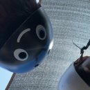 주현목장 이미지