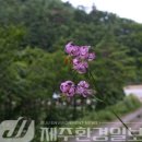 314004 네이버블로그