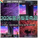 황산공원(황산B) | 양산황산공원 벚꽃개화상황 실시간 벚꽃축제 기본정보, 가수공연 후기 '2026물금벚꽃축제'