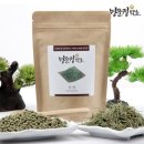 명문정약초