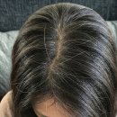 살림선생 | 살림비책 흰머리 262 NMN으로 백발 듬성머리 해결