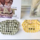 이쁘냥 고양이미용실 대전점 이미지