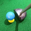 영천포롱마을 이미지