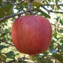 장구농장 이미지