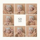 스마일피자(smile pizza) | 부산 아기사진 잘찍는곳 아이스마일 스튜디오 50일 촬영 후기