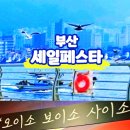 복이있는덕포시장 | 부산 세일 페스타 6월 전통시장 국제 자갈치 동래 시장 등 온누리상품권 환급 행사