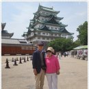 대성오아시스 | ① #인천국제공항 #나고야중부공항 #나고야성 #혼마루궁전 #오아시스21 #온천욕 #가야세끼 #신성해외여행사