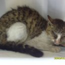 아람동물병원 이미지