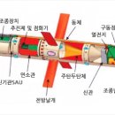 토우개발 Daum카페