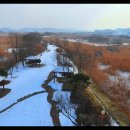 갈대습지공원 이미지