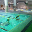 용호레포츠 이미지