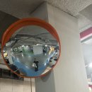 금산군보건소 | 먹고 또 먹고, 설 연휴 남산 등산, 트립트랩 조립, 임산부 백일해 접종 (호산 여성 병원 / 성북구 보건소)