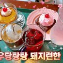 칭구노래연습장 이미지