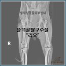 임재성동물의료센터 이미지