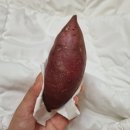 봉래모텔 이미지