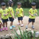 모라산림공원 이미지