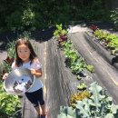 신기가족농장 이미지