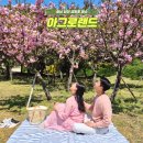 지내목장 | 충남 당진 아그로랜드 태신목장 입장료 겹벚꽃 명소 가볼만한곳