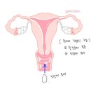 서해산부인과