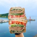 시랑이랑 이미지