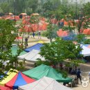 마포 난지캠핑장 / 한강 그리고 여유… 도심에서 즐기는 캠핑 이미지