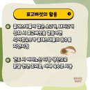 원주가표고버섯