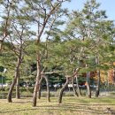 광덕공원 화장실 네이버블로그