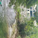 용운민박 이미지