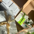메타포레 해피뉴이어 + 빈별 메타포레🌿💚 이미지