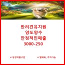 아빠부동산중개사무소 이미지